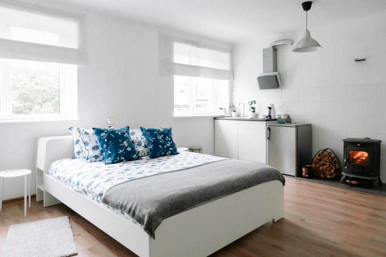 Lake Aluksne Studio Apartment エクステリア 写真