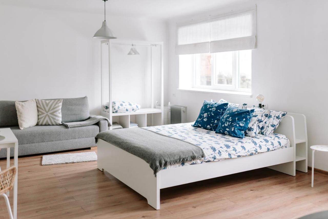 Lake Aluksne Studio Apartment エクステリア 写真