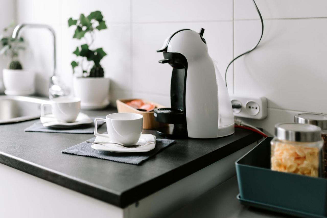 Lake Aluksne Studio Apartment エクステリア 写真
