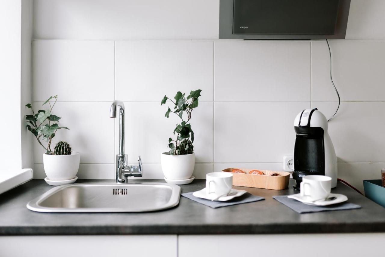 Lake Aluksne Studio Apartment エクステリア 写真
